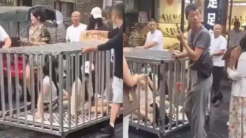 两女子关铁笼游街示众